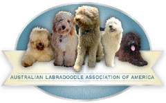 Australian Labradoodle Association of America