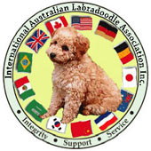 International Australian Labradoodle Association Member