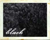 Black Labradoodle coat