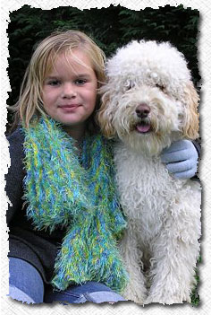 Labradoodle