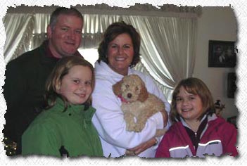 Australian Labradoodle Puppies