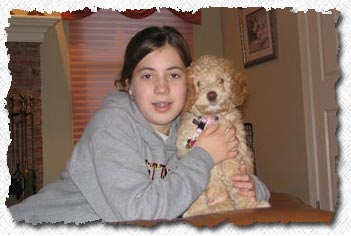 Australian Labradoodle Puppies