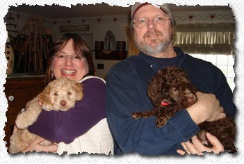 Australian Labradoodle Puppies