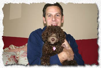Australian Labradoodle - Molly