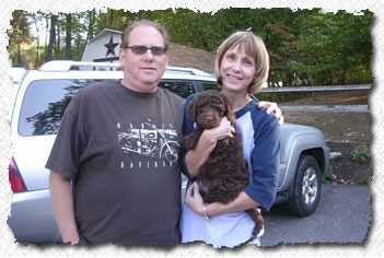 Labradoodle